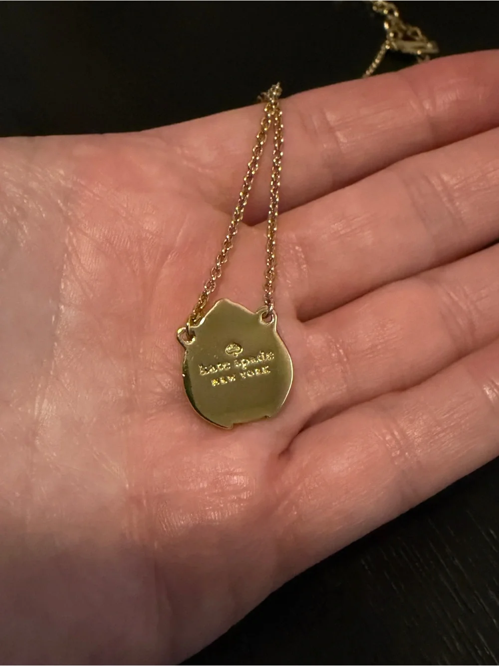 Kate Spade New York Ladybug Pendant Necklace Gold Friendly Insects Adjustable